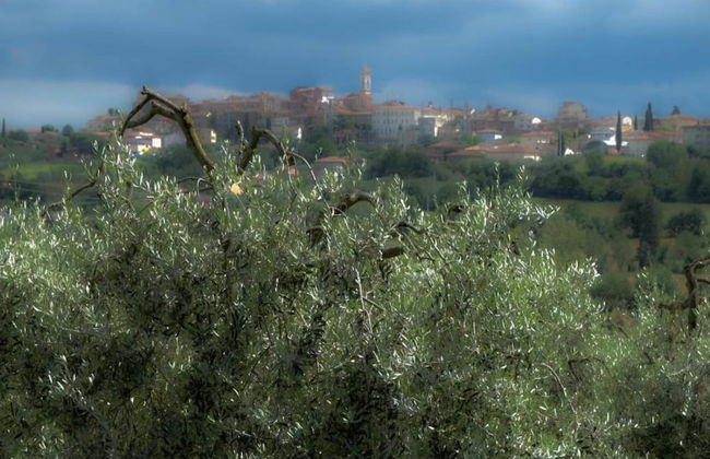 Modern Holiday Home With Pool - Foto 29