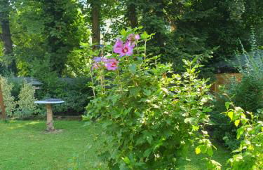 Appartement in Gelsenkirchen - Foto 12