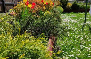 Dom wakacyjny - Foto 14