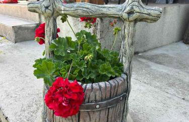 Kuća za odmor Family Fužine - Foto 39