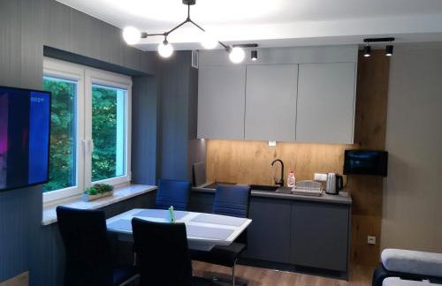 Kurort Kozubnik Apartament 33 Wellness &SPA - Foto 41