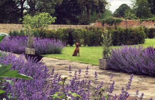 A Large Cotswold Country Retreat - Foto 58