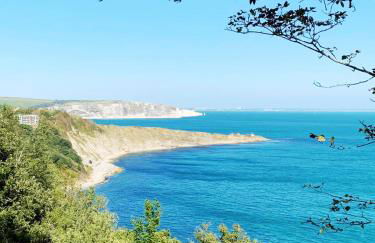 The Lookout - Photo 19