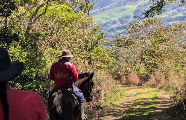Campos de Oro Wilderness Lodge - Photo 47