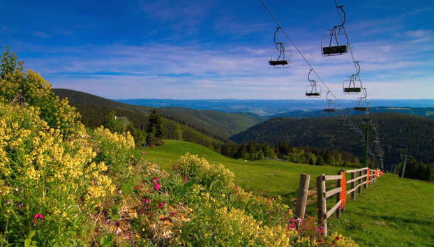 ProFamily simple - Foto 3, Place