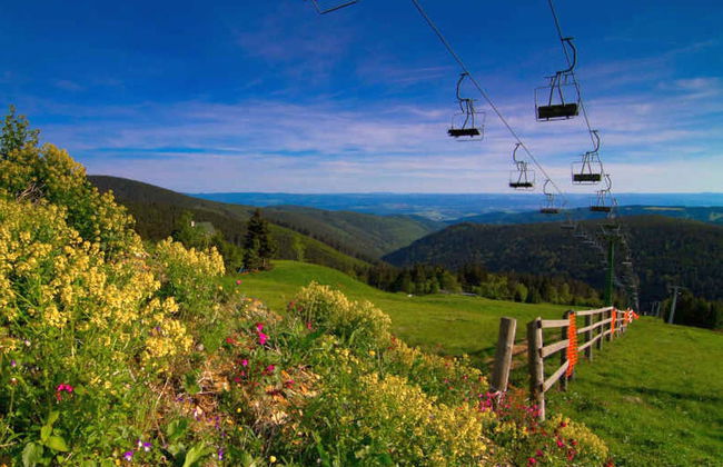 1 bedroom Apartment in Jáchymov - Photo 25