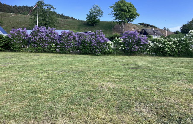 "Eva" - 1.5km to the fjord - Photo 3
