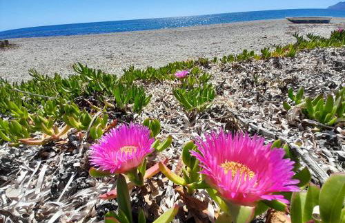 Vista Torre 2 - Foto 14