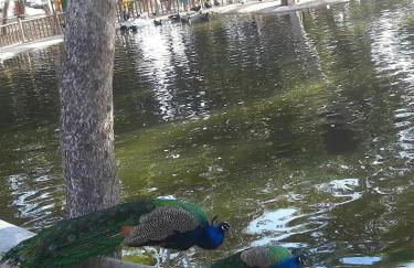 Pórtico Mediterráneo - Foto 37