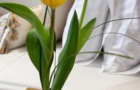 Konstantinos luxury suite - Foto 14