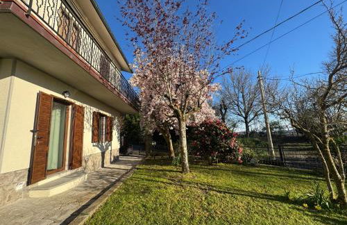 Casa Orlandina - Foto 25