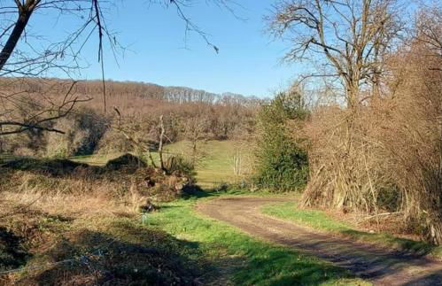 La Tour du Boueix - Foto 13