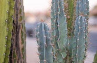 Next Getaway Home-3 Rooms, 4 Bed, 2 Bath, Backyard - Photo 10