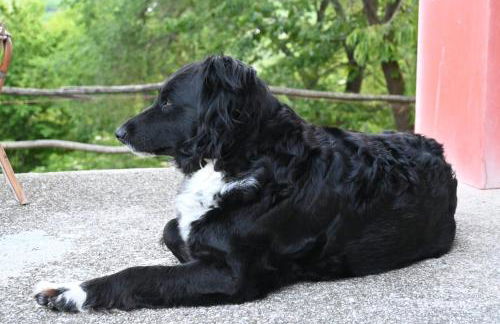 Agriturismo Le Spezie - Foto 70