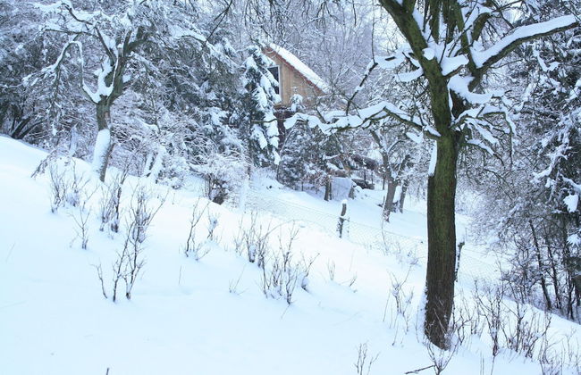 Vintage Holiday Home With Private Terrace - Foto 21