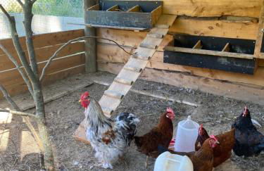 Quinta da Vinha do Souto - Foto 31