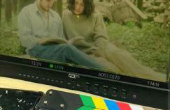 Il Limoneto degli Angeli - Foto 11