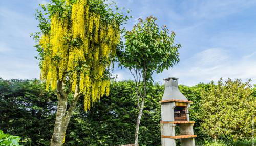 Casa do Ferrador - Foto 2, Garden, Garden view