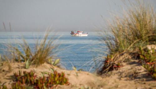 1 Bedroom Awesome Apartment In Denia - Foto 5