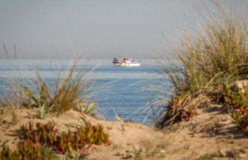 1 Bedroom Awesome Apartment In Denia - Photo 5