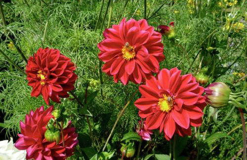 Ferienwohnung in Drachselsried für 2 Personen - Foto 27