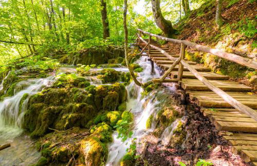 Galapagus privat beach & boat dock - Foto 58