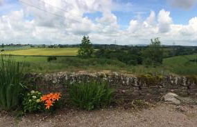 Thatch Close Cottages - Foto 32