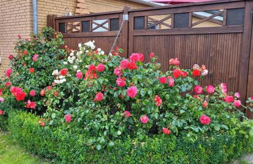 Ostfriesland to huus - Foto 16