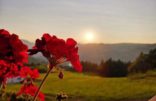 Gfliererhof - Foto 56