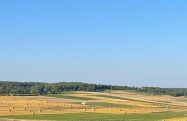 Casa da Peppe Schöne Auszeit im Schwarzwald - Foto 37