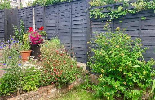 Sunny Meadow Cottage - Photo 17