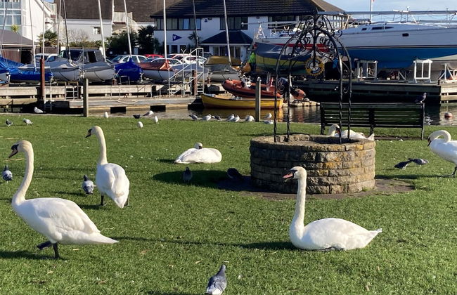 The Coast House - Foto 37