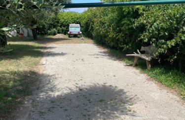 Le mas de la Cognasse - Foto 9