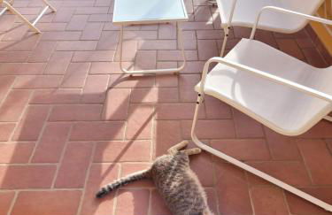 La Casina di campagna tra Cecina e Bibbona - Foto 10