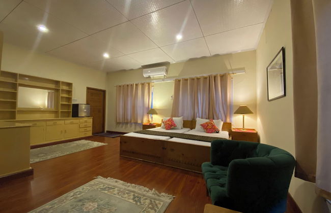 Springfield - Photo 5