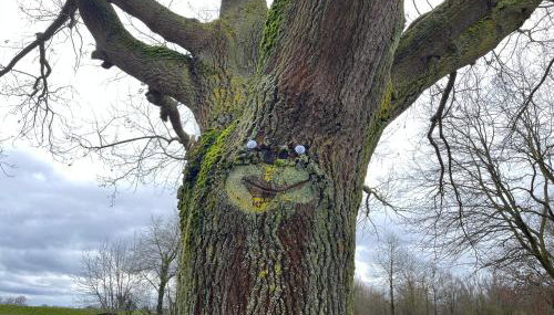 Altrhein Hideaway - Photo 2