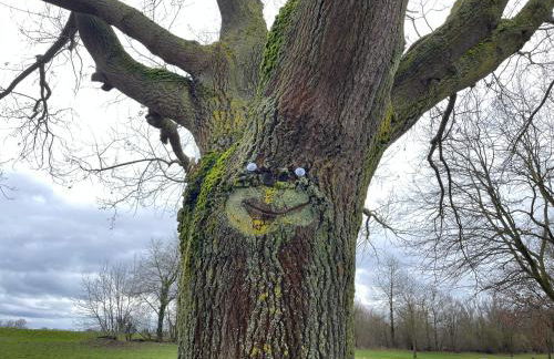 Altrhein Hideaway - Foto 2