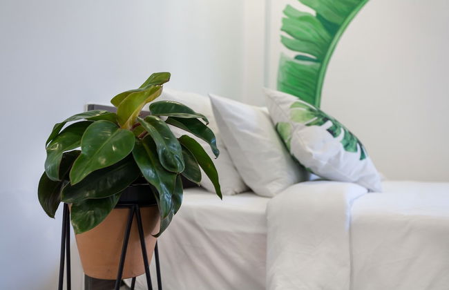 La Regatta Boutique Residences - Foto 20