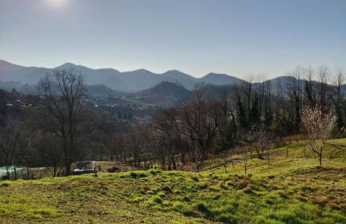 Agriturismo La Collina delle Api - Foto 42