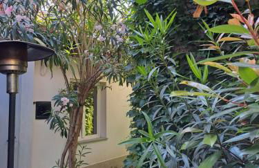 Musa Paradisiaca 6, un angolo tropicale a Torino - Foto 24