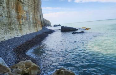 Je m'y plais - Foto 46