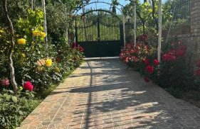 Apidalos Naus Apartment - Foto 26