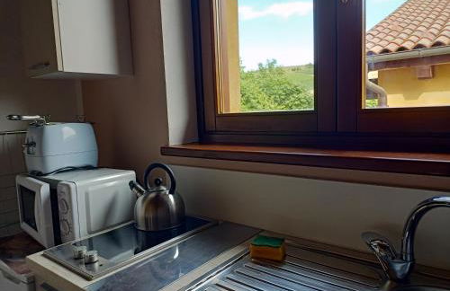 Vite diPinte 1 bilocale in langa - Foto 10