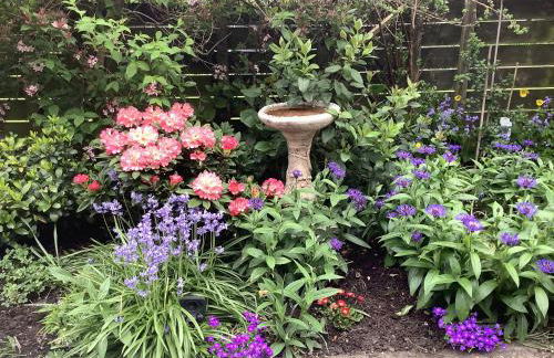 The Garden Flat - Photo 41