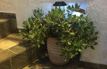 Ouranos Studios - Foto 22