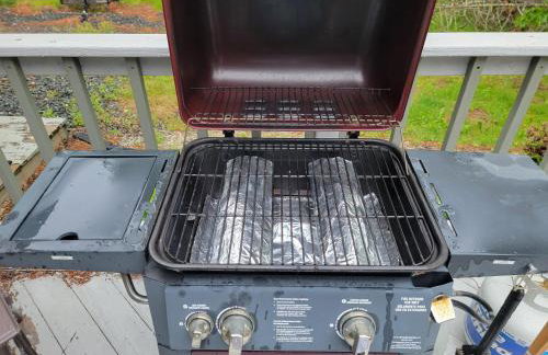 Wolfe's Way - Photo 11