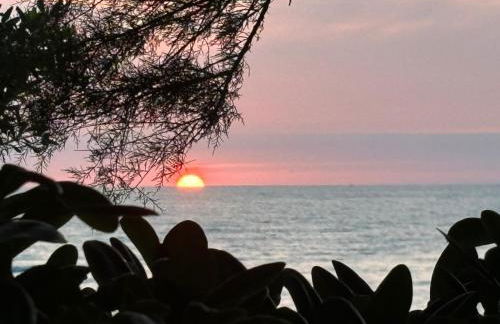 Maison Ihi-Toki - Apartamento Planta baja T2 40m2 - Apartamento Planta alta T3 54m2 - Foto 37