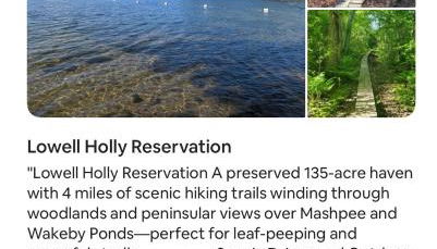 Autumn Escape by the Cape 4 drm home - Foto 5