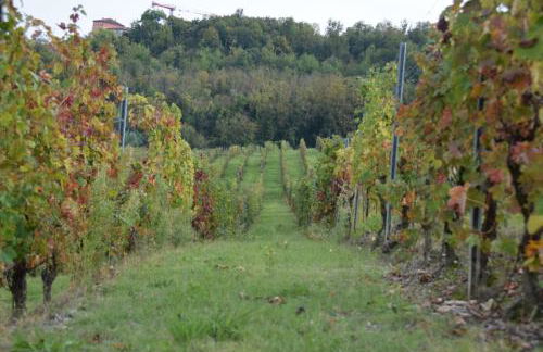 Le Magnolie - Foto 36