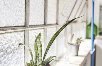 2 Bedroom Apartment House - Sol do Murtal - Photo 37